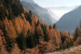 20091101_140329 Vallespluga.jpg